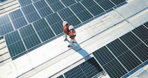 Best Storm Damage Roof Repair  in Clifton, TN
